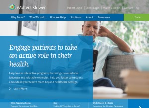 How emmisolutions.com looks like on a tablet such as an iPad.