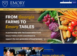 How emory.edu looks like on a tablet such as an iPad.