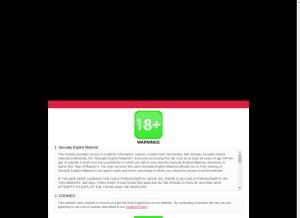 How en.followfuck.com looks like on a tablet such as an iPad.