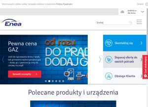 How enea.pl looks like on a tablet such as an iPad.