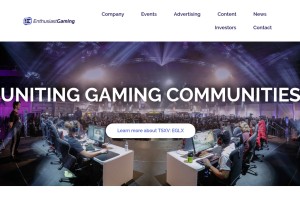 How enthusiast.gg looks like on a tablet such as an iPad.