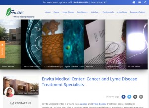 How envita.com looks like on a tablet such as an iPad.