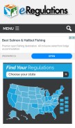 How eregulations.com looks like on a mobile device such as an iPhone.
