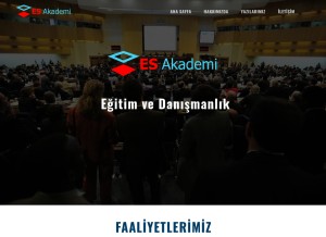 How es-akademi.com looks like on a tablet such as an iPad.