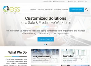 How es2.com looks like on a tablet such as an iPad.