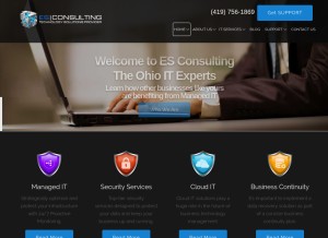 How esconsult.net looks like on a tablet such as an iPad.