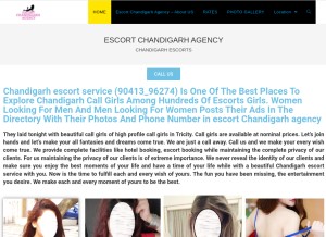 How escortchandigarhagency.in looks like on a tablet such as an iPad.