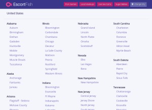 How escortfish.ch looks like on a tablet such as an iPad.