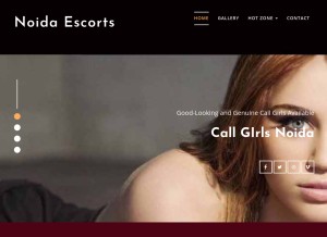 How escortsinnoida.com looks like on a tablet such as an iPad.