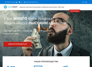 How essayprofit.com looks like on a tablet such as an iPad.