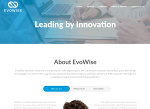 How evowise.com looks like on a tablet such as an iPad.