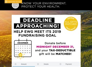 How ewg.org looks like on a tablet such as an iPad.