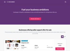 How exchangemarketplace.com looks like on a tablet such as an iPad.