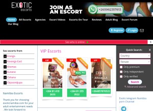 How exoticnamibia.com looks like on a tablet such as an iPad.