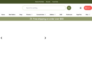 How expressbuds.ca looks like on a tablet such as an iPad.