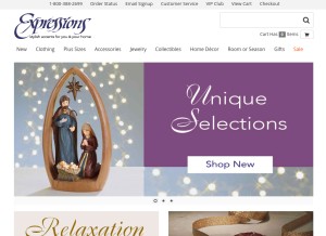 How expressionscatalog.com looks like on a tablet such as an iPad.