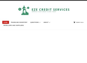 How ezecreditservices.com looks like on a tablet such as an iPad.