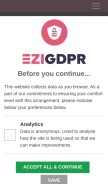 How ezigdpr.com looks like on a mobile device such as an iPhone.