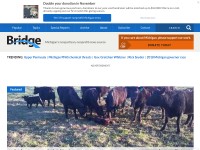 Desktop screenshot for bridgemi.com