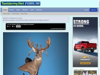 Desktop screenshot for taxidermy.net