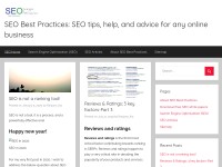 Desktop screenshot for seo-bestpractices.com