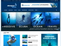 Desktop screenshot for deeperblue.com