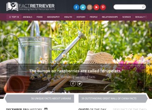 How factretriever.com looks like on a tablet such as an iPad.