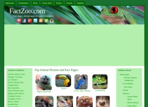 How factzoo.com looks like on a tablet such as an iPad.