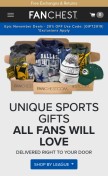 How fanchest.com looks like on a mobile device such as an iPhone.