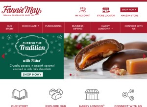 How fanniemay.com looks like on a tablet such as an iPad.
