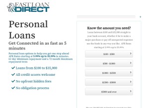 How fastloandirect.com looks like on a tablet such as an iPad.