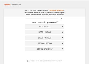 How fastloansmoney.com looks like on a tablet such as an iPad.