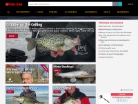 Desktop screenshot for lake-link.com