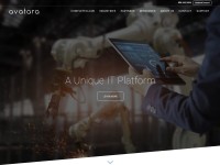 Desktop screenshot for avatara-llc.com