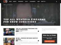 Desktop screenshot for gunnewsdaily.com