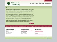 Desktop screenshot for bambenekconsulting.com