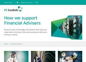 How feanalytics.com looks like on a tablet such as an iPad.
