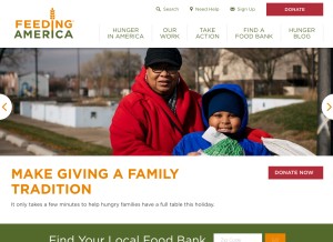 How feedingamerica.org looks like on a tablet such as an iPad.