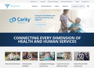 How feisystems.com looks like on a tablet such as an iPad.