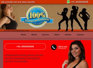 How femalescortsinbangalore.com looks like on a tablet such as an iPad.