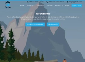 How fexle.com looks like on a tablet such as an iPad.