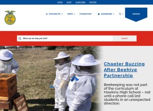 How ffa.org looks like on a tablet such as an iPad.