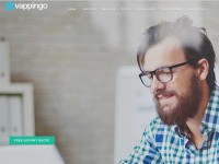Desktop screenshot for vappingo.com