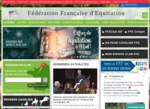 How ffe.com looks like on a tablet such as an iPad.
