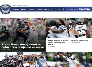 How fieldgulls.com looks like on a tablet such as an iPad.