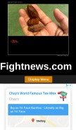 How fightnews.com looks like on a mobile device such as an iPhone.