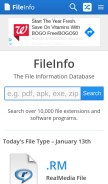 How fileinfo.com looks like on a mobile device such as an iPhone.