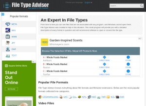 How filetypeadvisor.com looks like on a tablet such as an iPad.