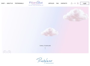 How fillercloud.com looks like on a tablet such as an iPad.