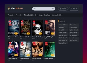 How filmbabasi.com looks like on a tablet such as an iPad.